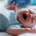 a15fb109-b75e-49c2-8df9-cae40fc0b50d