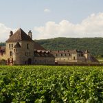 Damak Tadıyla Keşif: Avrupa’da 5 Özel Lezzet Durağı avrupada-gastronomi-odakli-5-lezzet-rotasi-pbxy