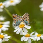 28c99415-8950-4095-a12b-08b280234361