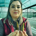 69afd0937a5d6587c5824110