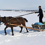 Zorlu Kış Şartlarında Yaban Hayvanları İçin Kızakla Yem Taşıyor! 69b8f867ce1c2a9cf8a73fcd