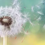 a940b83d-d78e-407e-ad04-3abcb1da43dd