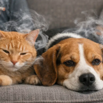 b3f6ba6f-f9f2-4fd9-825c-87fca79c