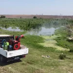 İstanbul Valiliği Zararlı Haşerelerle Mücadele İçin Genelge Yayınladı! 679eb2f4-0b52-4664-a0d9-6f22ae99f6ff