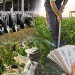 koye-donuste-yeni-model-maasli-ciftcilik-hedef-40-bin-genc-bji0