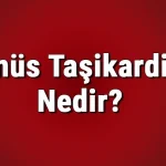 Uzmanlar Açıkladı: Sinüs Taşikardisi Ne Zaman Riskli Hale Geliyor? 61943f3c4e3fe00f9049d8df